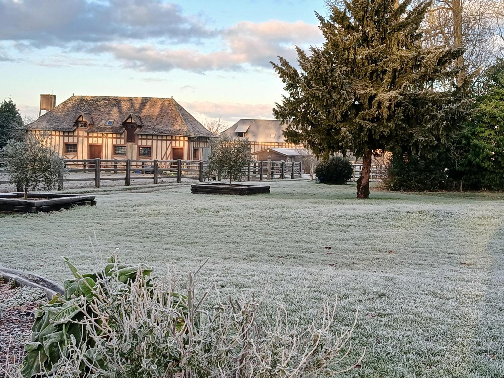 Domaine Des Ifs Bed and Breakfast Le Pin  Eksteriør billede