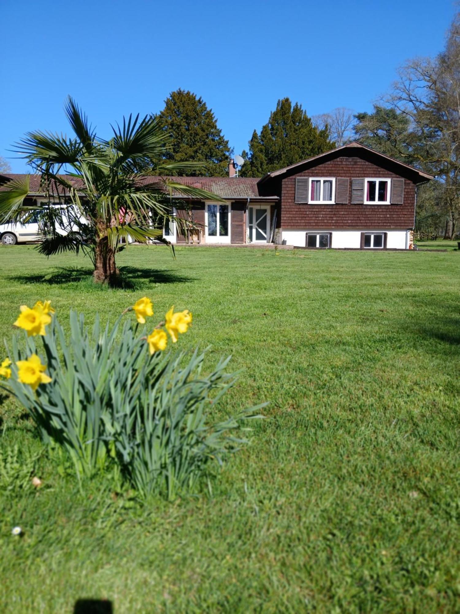 Domaine Des Ifs Bed and Breakfast Le Pin  Eksteriør billede