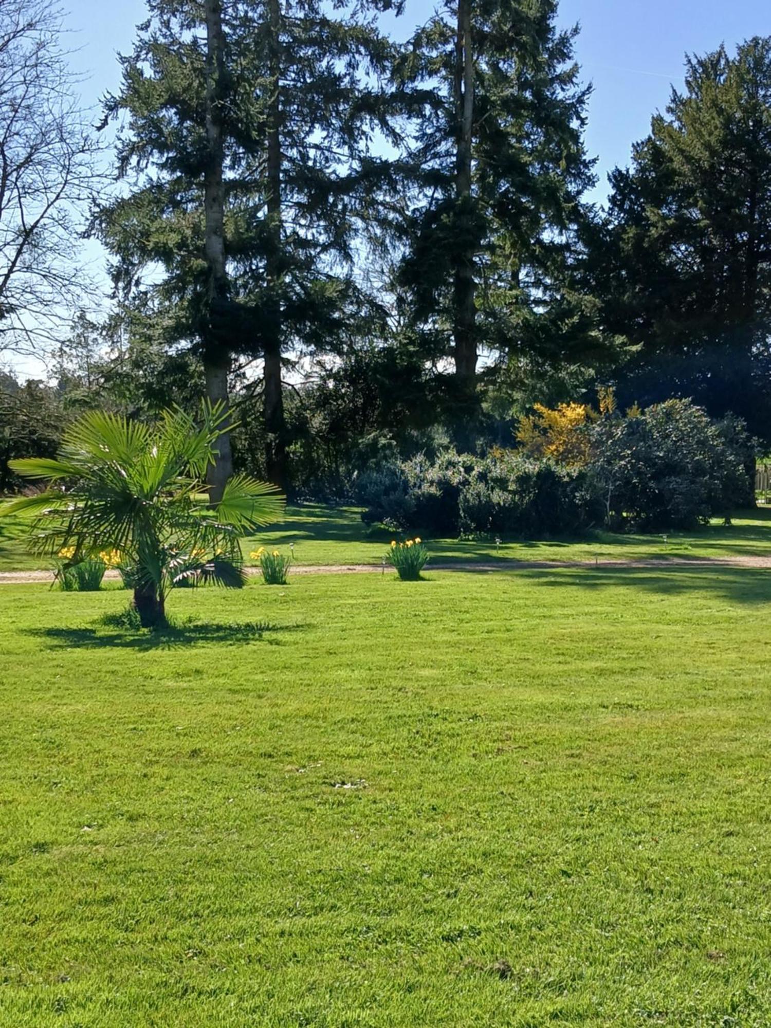 Domaine Des Ifs Bed and Breakfast Le Pin  Eksteriør billede