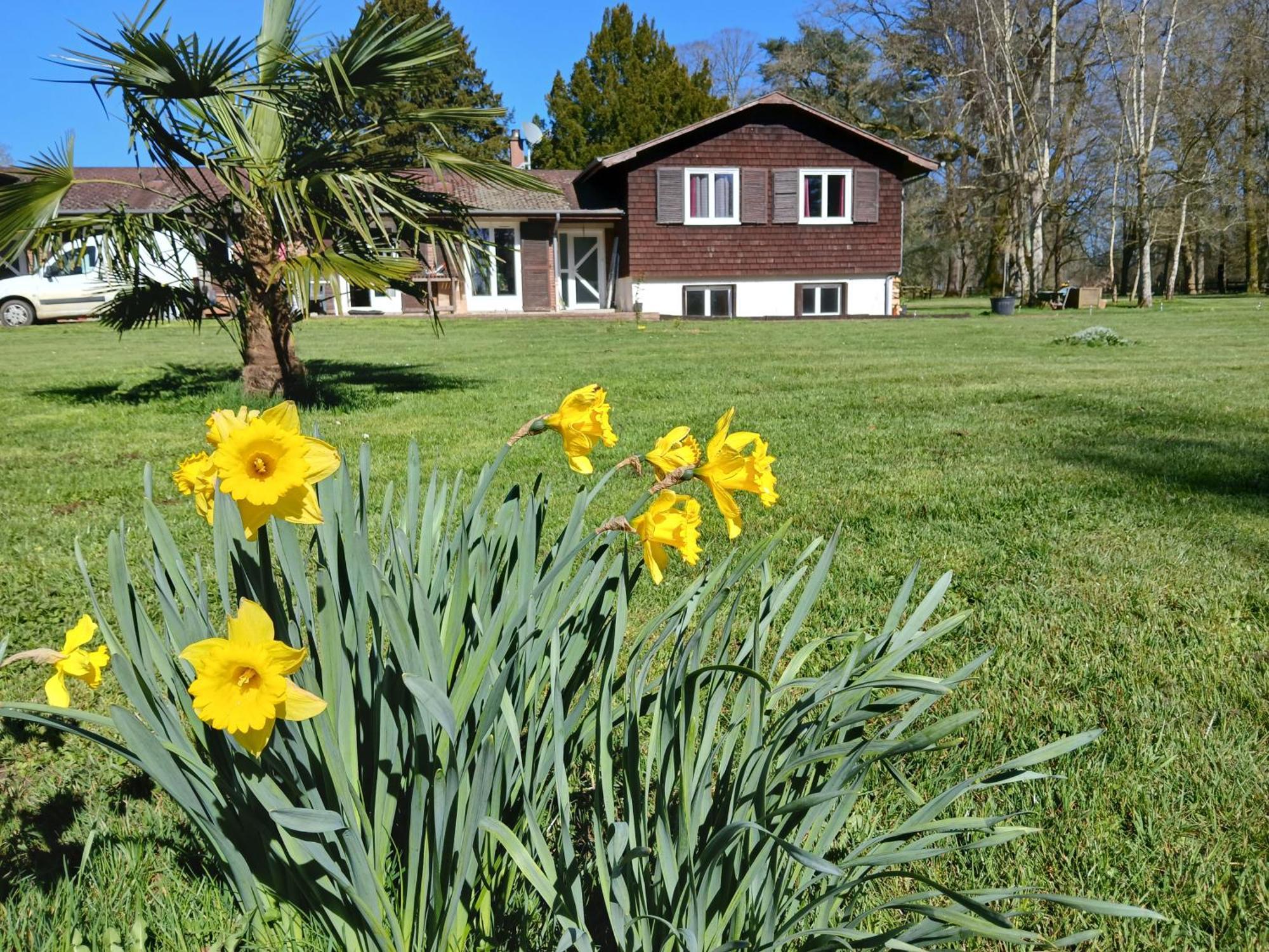 Domaine Des Ifs Bed and Breakfast Le Pin  Eksteriør billede