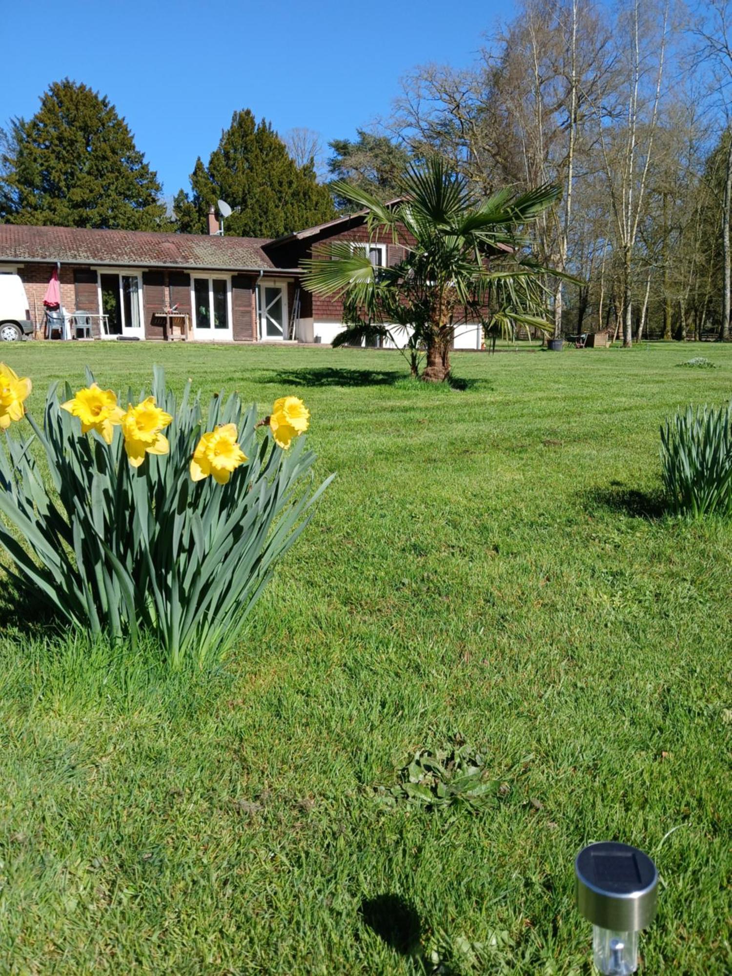 Domaine Des Ifs Bed and Breakfast Le Pin  Eksteriør billede