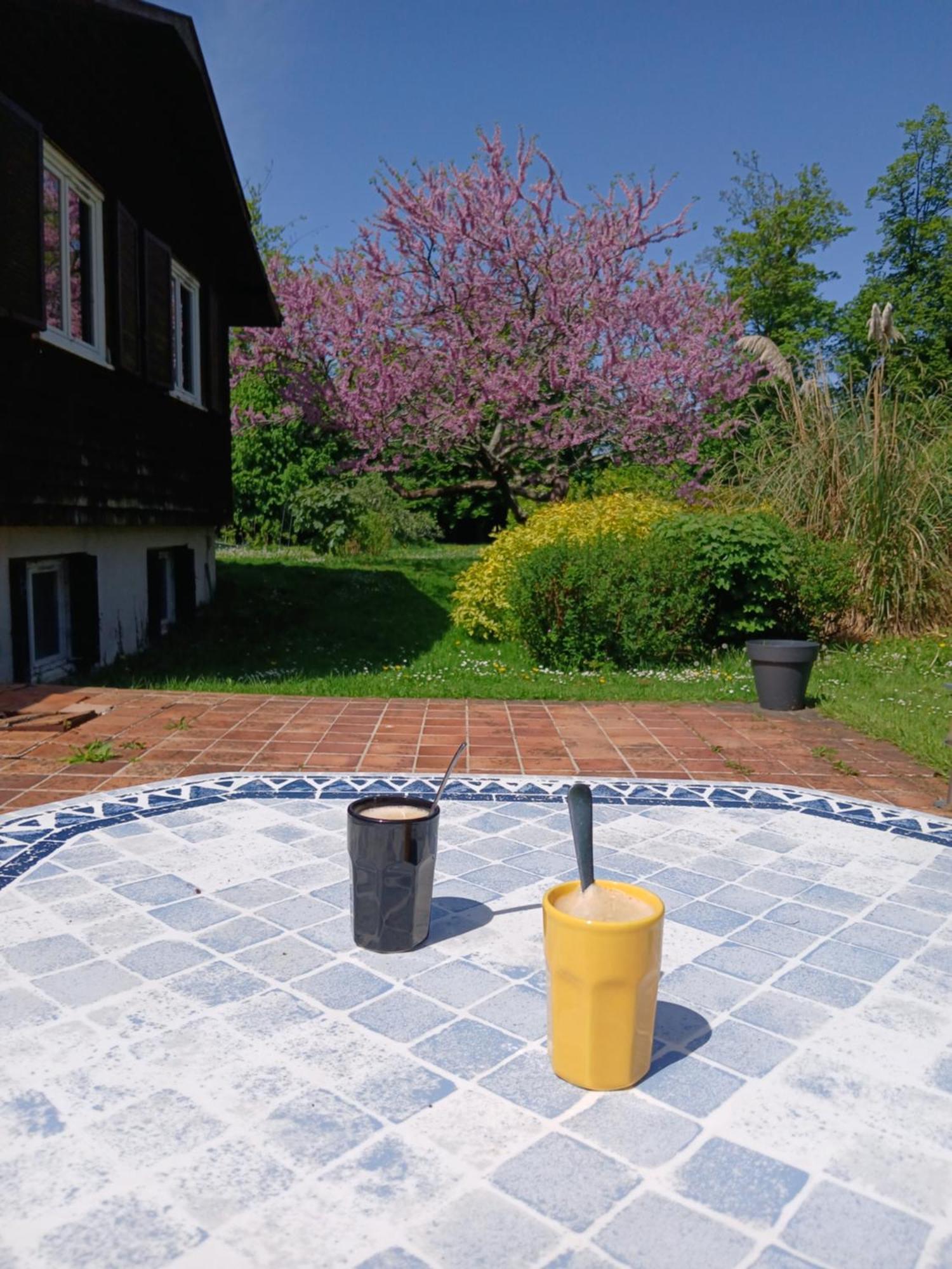 Domaine Des Ifs Bed and Breakfast Le Pin  Eksteriør billede