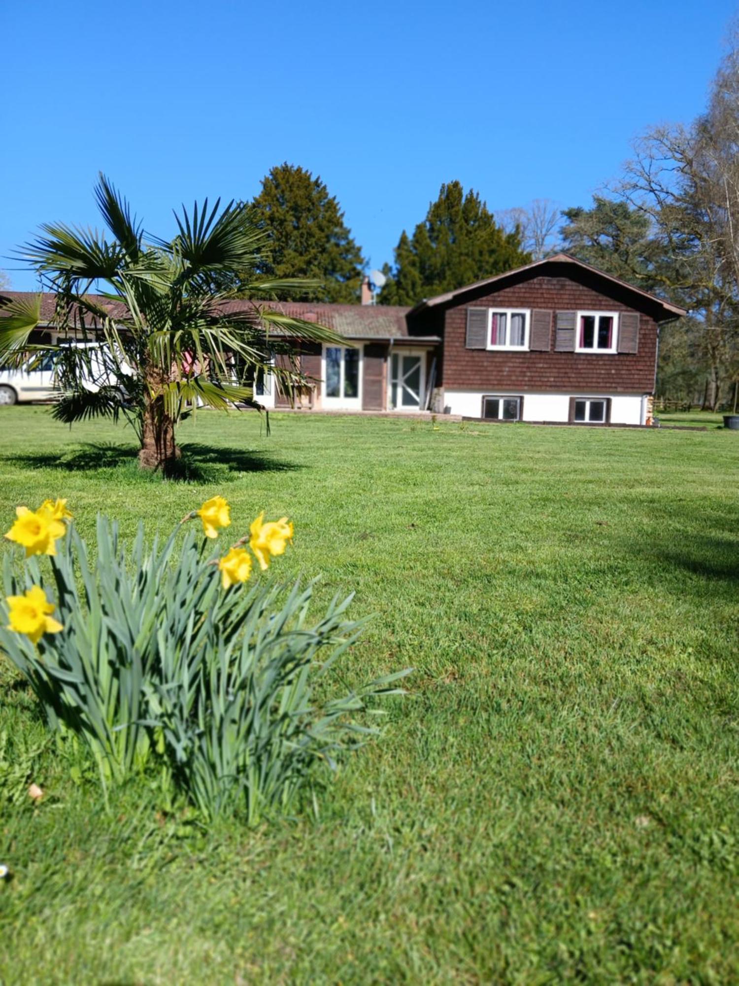 Domaine Des Ifs Bed and Breakfast Le Pin  Eksteriør billede