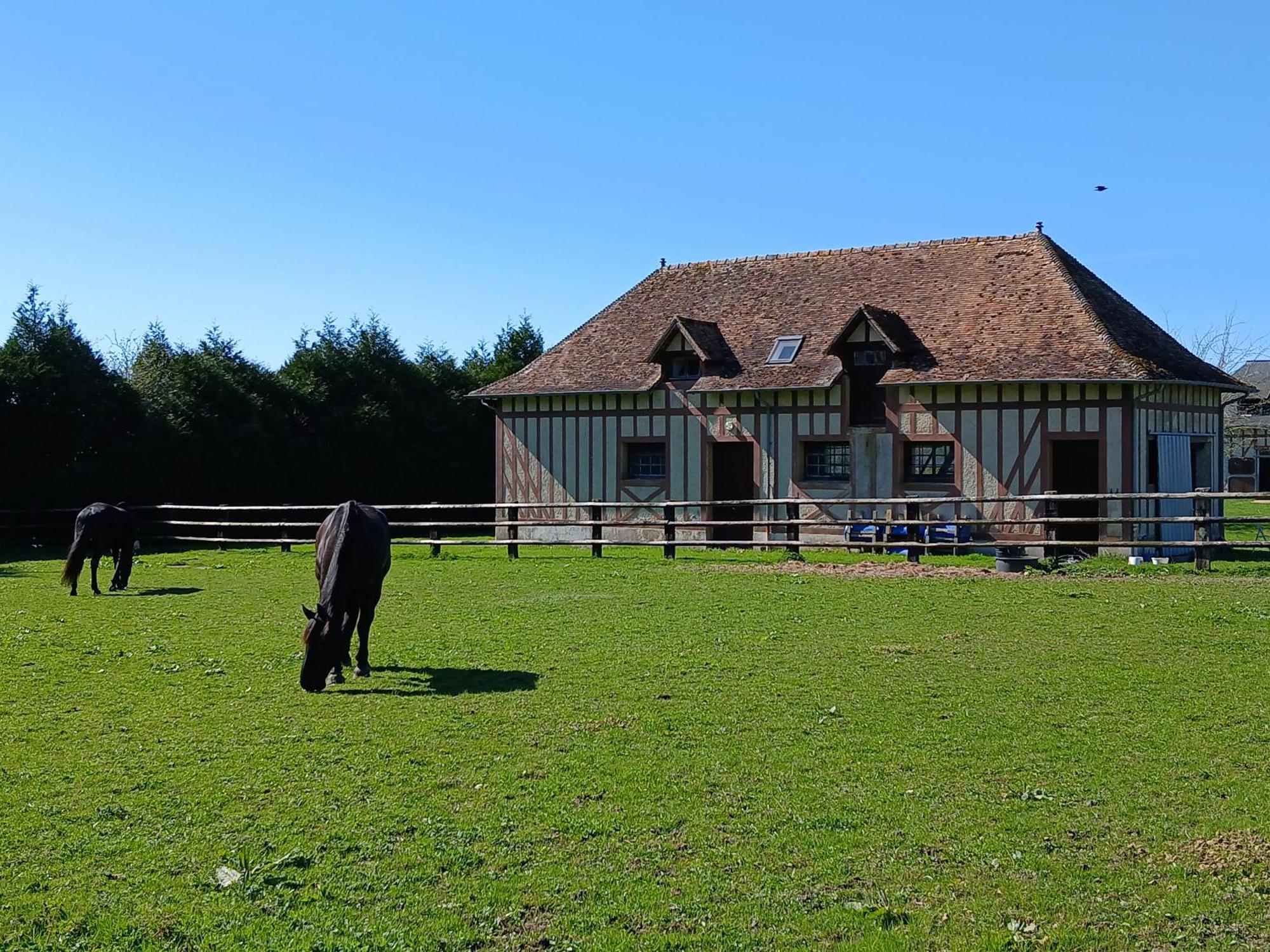 Domaine Des Ifs Bed and Breakfast Le Pin  Eksteriør billede